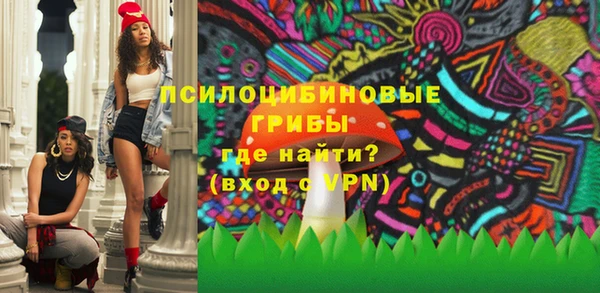 дживик Надым
