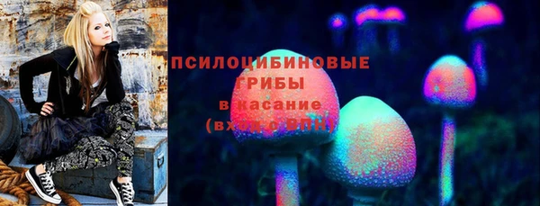 apvp Беломорск